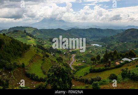 Virunga Berge, Uganda, Afrika Stockfoto