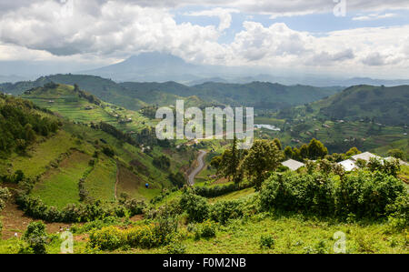 Virunga Berge, Uganda, Afrika Stockfoto