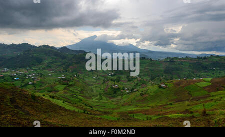 Virunga Berge, Uganda, Afrika Stockfoto