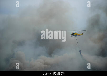 Fire Helicopter kämpfen ein Lauffeuer in der Nähe von Kleinmond, Südafrika Stockfoto