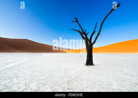 Die roten Dünen von Sossusvlei und die Toten Bäume Deadvlei, Namibia Stockfoto