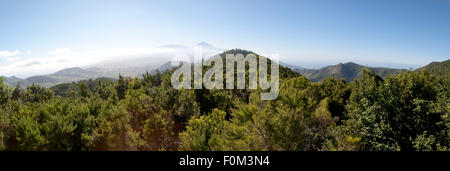 Blick von El Pico de Teide Vulkan Berg durch Wolken und Kiefernwald mit blauer Himmel - Teneriffa, Kanarische Inseln. Stockfoto