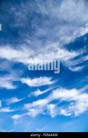 Cirrus und Stratus Wolken gegen strahlend blauen Himmel, vertikale Weitwinkel Stockfoto