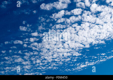 Altocumulus-Wolken am blauen Himmel an sonnigen ruhigen Tag Stockfoto