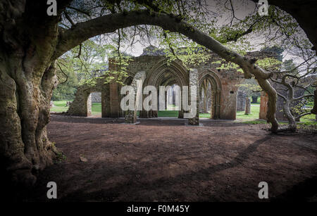 Der Kapitelsaal, die Ruinen der Abtei in Margam Park, Port Talbot, erbaut 1147 Stockfoto