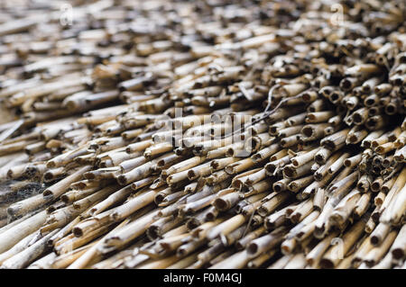 Verwittert und schmutzigen Strohdach Stroh closeup Stockfoto