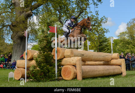 Laura Collett und GRAND MANÖVRIEREN - cross country Phase - Mitsubishi Motors Badminton Horse Trials, Badminton House, Samstag, 9. Mai 2015. Stockfoto