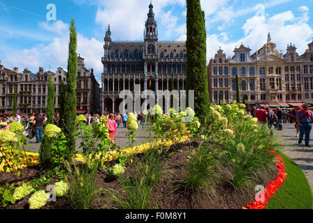 Grande Place Brüssel Belgien Stockfoto