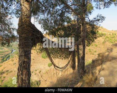 Alten verrottenden Seilhängematte zwischen zwei Bäumen am Hang in der Nähe von Alora, Andalusien Stockfoto