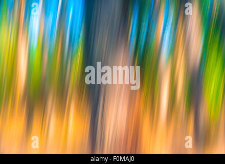 Abstrakte woodland Stockfoto