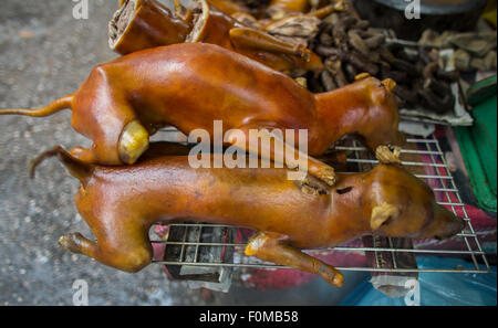 Hund ist eine Delikatesse in Vietnam Stockfoto