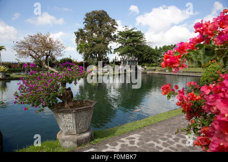 Taman Ujung Wasser Palast - herrliche Wasser im Osten Balis Stockfoto