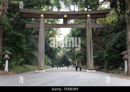 Torii vor der Meiji-Schrein Komplex, Meiji-Jingu Schrein, Shibuya, Tokyo, Japan, Asien Stockfoto
