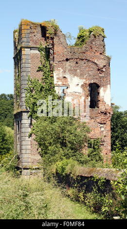 Ruinen eines Gebäudes von der Cisterciënzer Abbey von Auine in Gozee. Belgien Stockfoto