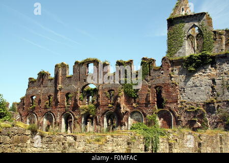 Ruinen eines Gebäudes von der Cisterciënzer Abbey von Auine in Gozee. Belgien Stockfoto