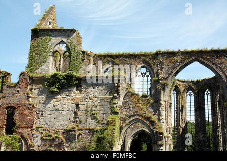 Ruinen eines Gebäudes von der Cisterciënzer Abbey von Auine in Belgien Stockfoto