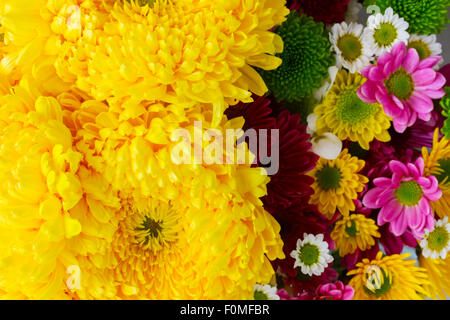 Blumenstrauß Mama Stockfoto