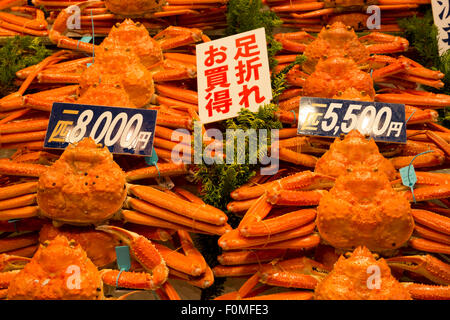 Kanou-Gani (männliche Seespinne), Omicho Markt, Kanazawa, Präfektur Ishikawa, zentralen Honshu, Japan, Asien Stockfoto