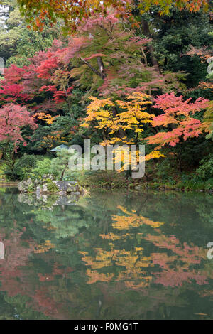 Herbstfarben spiegeln sich in Hisagoike Teich, Kenrokuen Garten, Kanazawa, Präfektur Ishikawa, zentralen Honshu, Japan, Asien Stockfoto