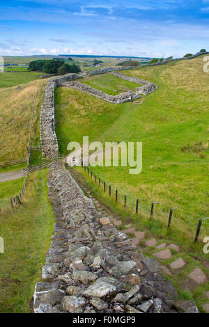 Der Hadrianswall bei Housesteads Fort, Cumbria, England Stockfoto