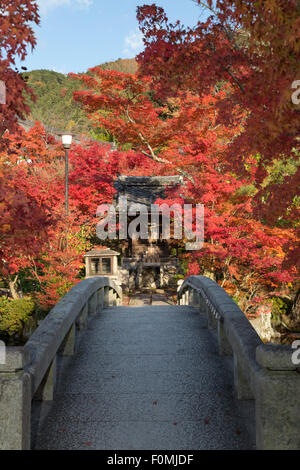 Brücke über den Teich im Herbst, Eikan-Do (buddhistische Tempel), nördliche Higashiyama, Kyoto, Japan, Asien Stockfoto