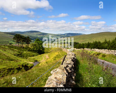 Die Kohle Weg und Affe Beck führen hinunter in Dentdale Yorkshire Dales Cumbria England Stockfoto