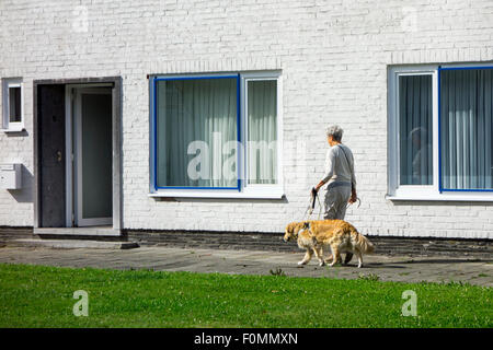 Blinde / Sehbehinderte ältere Frau zu Fuß draußen mit Blindenhund entlang weißes Haus Stockfoto