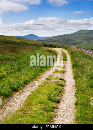 Der Pennine Maultierweg unter großen Knoutberry Hügel mit Ingleborough in der Entfernung Dentdale Yorkshire Dales Cumbria England Stockfoto