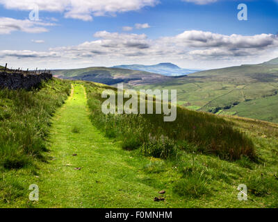 Der Pennine Maultierweg unter großen Knoutberry Hügel mit Ingleborough in der Entfernung Dentdale Yorkshire Dales Cumbria England Stockfoto