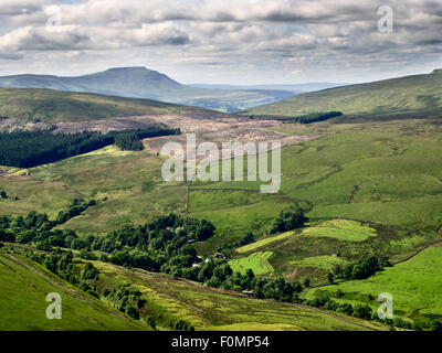 Ingleborough von großen Knoutberry Hügel in Dentdale Yorkshire Dales Cumbria England Stockfoto