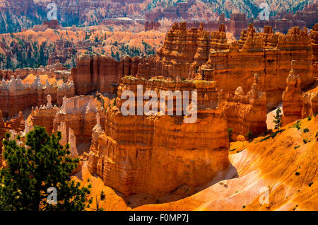 Bryce Canyon National Park, Utah Stockfoto