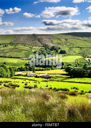 Ackerland in der Nähe von Cowgill in Dentdale Yorkshire Dales Cumbria England Stockfoto