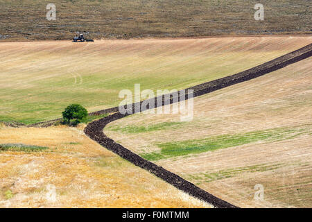 Agrarlandschaft in der Murgia in der Nähe der Stadt Gravina in Puglia, Apulien, Süditalien. Stockfoto
