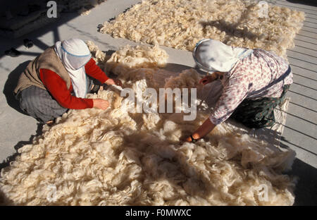 Frauen sortieren und Anordnen von reiner Wolle in der Türkei Stockfoto
