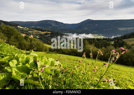 Riesengebirge, Riesengebirge, Pec pod Snezkou, Schneekoppe, Wiese, Sonnenaufgang, Berge, Panorama, Natur, Sunny Stockfoto