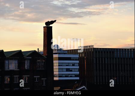 Glasgow, Schottland. 18. August 2015. Neue am Flussufer Glasgow City College Campus fügt die Glasgow Skyline wie den Sonnenuntergang über der Stadt. Bildnachweis: Tony Clerkson/Alamy Live-Nachrichten Stockfoto