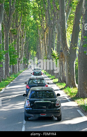 Rückansicht von Autofahrern und Autos fahren in der Sonne auf der rechten Seite der Französisch geraden Straße Avenue mit Baum gesäumten Rändern Sommer in Provence Frankreich Stockfoto