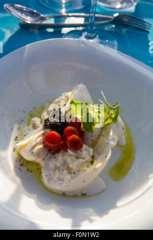 Weißen sauberen Teller mit einer Komposition von dunklen Früchten und kleine rote Tomaten in Mascarpone-Creme, neue französische Küche. Stockfoto