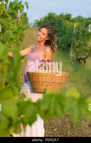 Attraktive glücklich Brunnette Mädchen im Weinberg arbeiten an Weinlese mit großen Weidenkorb Stockfoto