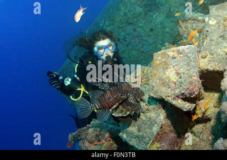 15. Oktober 2014 - Ägypten, Rotes Meer - Taucher auf Schiffbruch '' SS Thistlegorm'' rote Rotfeuerfisch (Pterois Volitans) betrachten. Rotes Meer, Ägypten, Afrika. (Kredit-Bild: © Andrey Nekrassow/ZUMA Wire/ZUMAPRESS.com) Stockfoto