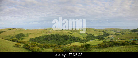 Grüne Felder und kleine Wälder in Coffee Bay mit Blick auf den Indischen Ozean und kleine Runde grüne Hütten rund um. Garden Road Stockfoto