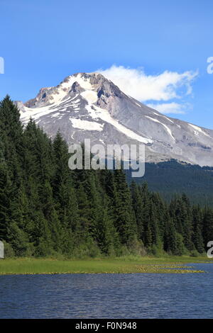 Mt. Hood von Trillium lake Stockfoto