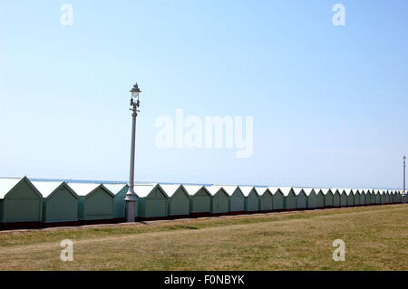 eine Reihe von Strandhäuschen direkt am Meer in Hove UK Stockfoto