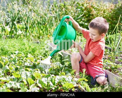 Kleiner Junge Bewässerung im Gemüsegarten