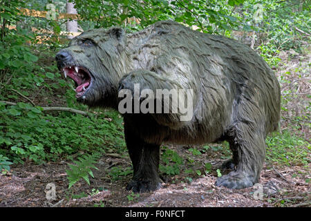 Extinct Höhlenbären lebten Ursinus Spelaeus in Europa im Pleistozän Dinosaurier Park Deutschland Stockfoto