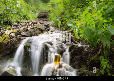 Bier im Wasserfall Frühjahr gekühlt Stockfoto