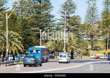 Avalon Beach Vorort auf Nordstrände von Sydney, new-South.Wales, Australien Stockfoto