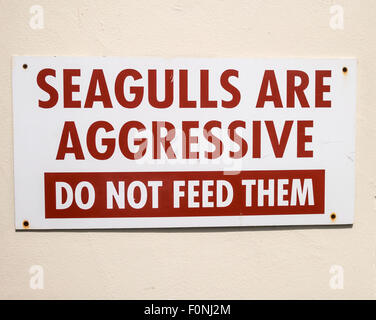 Schild Warnung vor aggressiven Seagulls UK Stockfoto