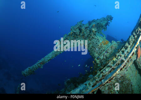 Rotes Meer, Ägypten. 15. Oktober 2014. Flak auf dem Heck des Schiffbruchs SS Thistlegorm (British bewaffnet Schiff der Handelsmarine), Rotes Meer, Ägypten. © Andrey Nekrassow/ZUMA Wire/ZUMAPRESS.com/Alamy Live-Nachrichten Stockfoto