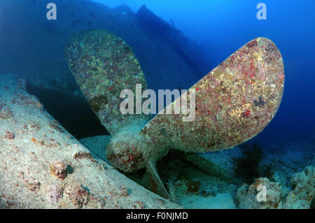 Rotes Meer, Ägypten. 15. Oktober 2014. Schiffsschraube auf das Schiffswrack SS Thistlegorm (British bewaffnet Schiff der Handelsmarine), Rotes Meer, Ägypten. © Andrey Nekrassow/ZUMA Wire/ZUMAPRESS.com/Alamy Live-Nachrichten Stockfoto